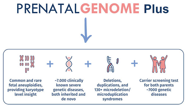 prenatalgenome plus